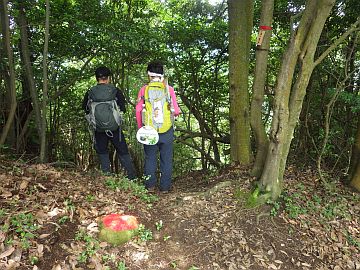 20160710-131605.jpg 20160710-131605.jpg