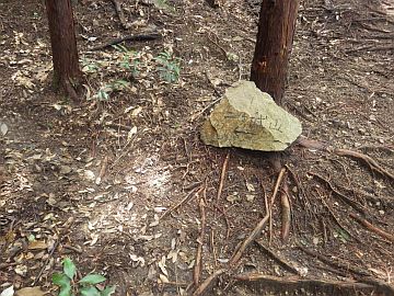20160710-135144.jpg 20160710-135144.jpg