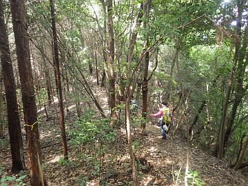 20160710-135434.jpg 20160710-135434.jpg