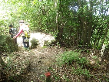 20160710-140438.jpg 20160710-140438.jpg
