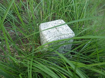 20160710-165030.jpg 20160710-165030.jpg