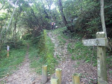 20160723-091749.jpg 20160723-091749.jpg