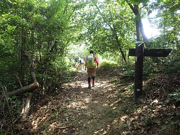 20160723-100918.jpg 20160723-100918.jpg