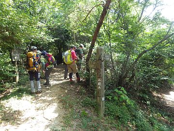 20160723-103220.jpg 20160723-103220.jpg