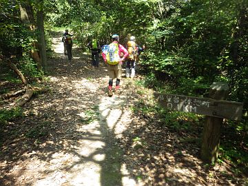 20160723-103820.jpg 20160723-103820.jpg