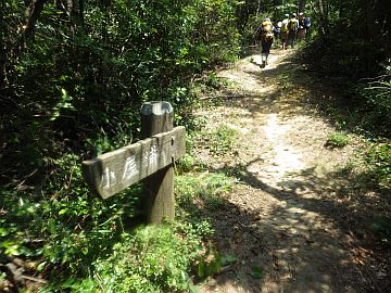 20160723-112103.jpg 20160723-112103.jpg