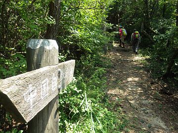 20160723-113441.jpg 20160723-113441.jpg