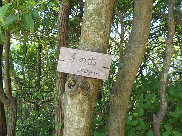 20160723-115435.jpg 20160723-115435.jpg