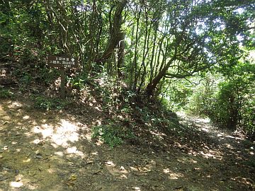 20160723-125605.jpg 20160723-125605.jpg