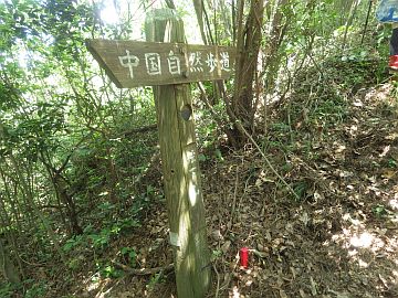 20160723-125615.jpg 20160723-125615.jpg