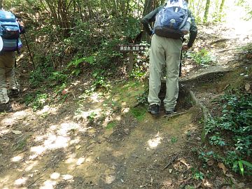 20160723-125925.jpg 20160723-125925.jpg