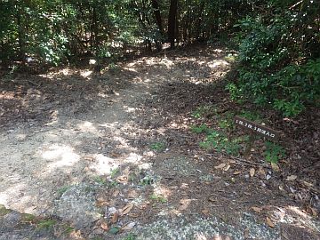 20160723-130816.jpg 20160723-130816.jpg