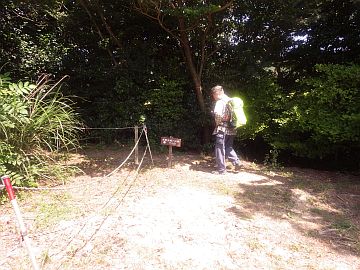 20160723-141441.jpg 20160723-141441.jpg