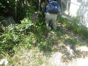 20160723-141839.jpg 20160723-141839.jpg