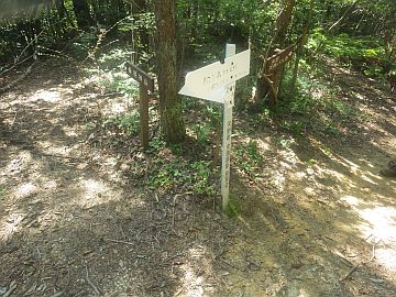 20160723-143049.jpg 20160723-143049.jpg