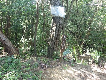 20160723-145826.jpg 20160723-145826.jpg