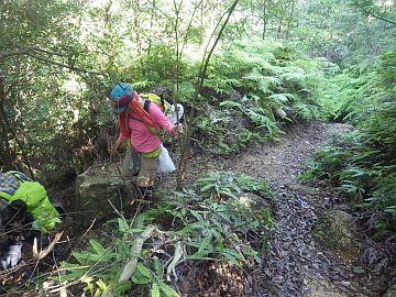 20160723-150500.jpg 20160723-150500.jpg