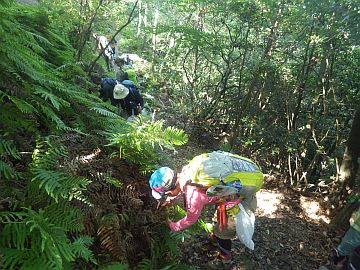 20160723-150548.jpg 20160723-150548.jpg