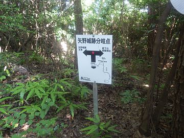 20160723-154210.jpg 20160723-154210.jpg