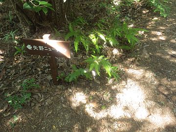 20160723-154236.jpg 20160723-154236.jpg