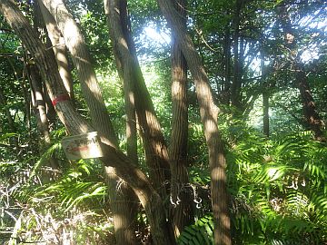 20160723-154632.jpg 20160723-154632.jpg