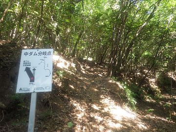 20160723-160321.jpg 20160723-160321.jpg