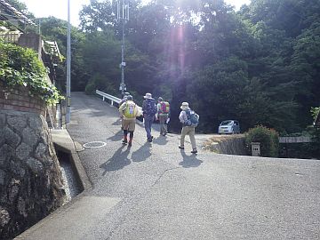 20160730-085529.jpg 20160730-085529.jpg