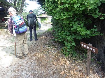 20160730-090647.jpg 20160730-090647.jpg