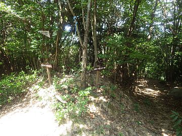 20160730-104803.jpg 20160730-104803.jpg