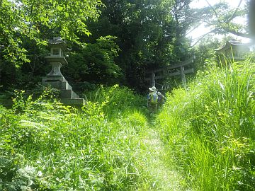 20160730-105139.jpg 20160730-105139.jpg