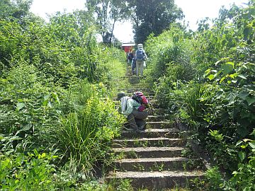 20160730-110347.jpg 20160730-110347.jpg