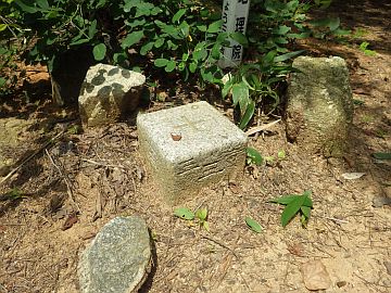 20160730-130615.jpg 20160730-130615.jpg