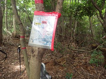 20160730-132652.jpg 20160730-132652.jpg