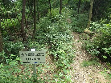20160730-133903.jpg 20160730-133903.jpg
