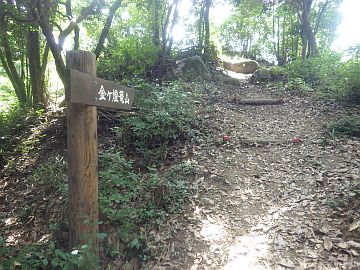 20160730-141130.jpg 20160730-141130.jpg
