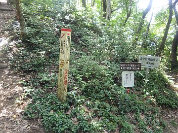 20160730-141144.jpg 20160730-141144.jpg
