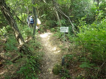 20160730-143925.jpg 20160730-143925.jpg