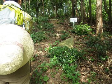 20160730-145601.jpg 20160730-145601.jpg