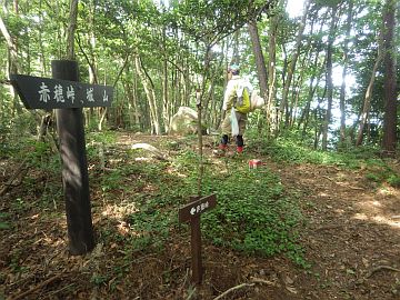 20160730-145746.jpg 20160730-145746.jpg