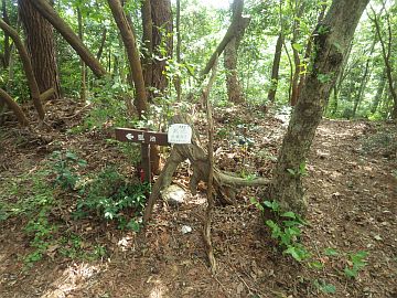 20160730-145806.jpg 20160730-145806.jpg