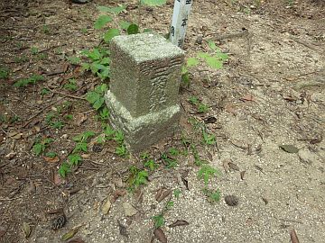 20160730-152441.jpg 20160730-152441.jpg