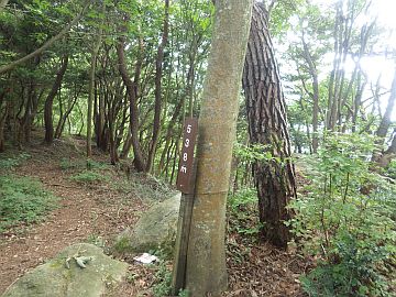 20160730-153731.jpg 20160730-153731.jpg