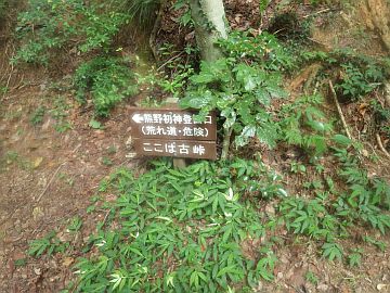 20160730-160050.jpg 20160730-160050.jpg