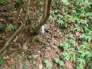 20160730-160107.jpg 20160730-160107.jpg