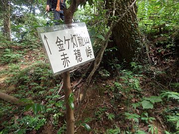 20160730-160120.jpg 20160730-160120.jpg