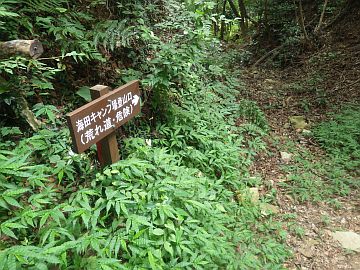 20160730-160132.jpg 20160730-160132.jpg