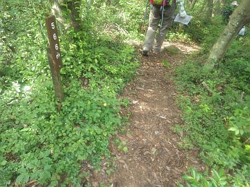 20160730-162137.jpg 20160730-162137.jpg