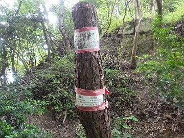 20160730-163955.jpg 20160730-163955.jpg