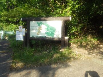 20160730-171133.jpg 20160730-171133.jpg