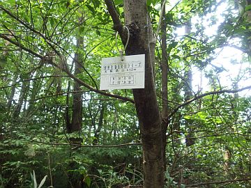 20160806-131110.jpg 20160806-131110.jpg